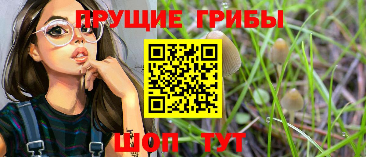 Галлюциногенные грибы MAGIC MUSHROOMS Ставрополь