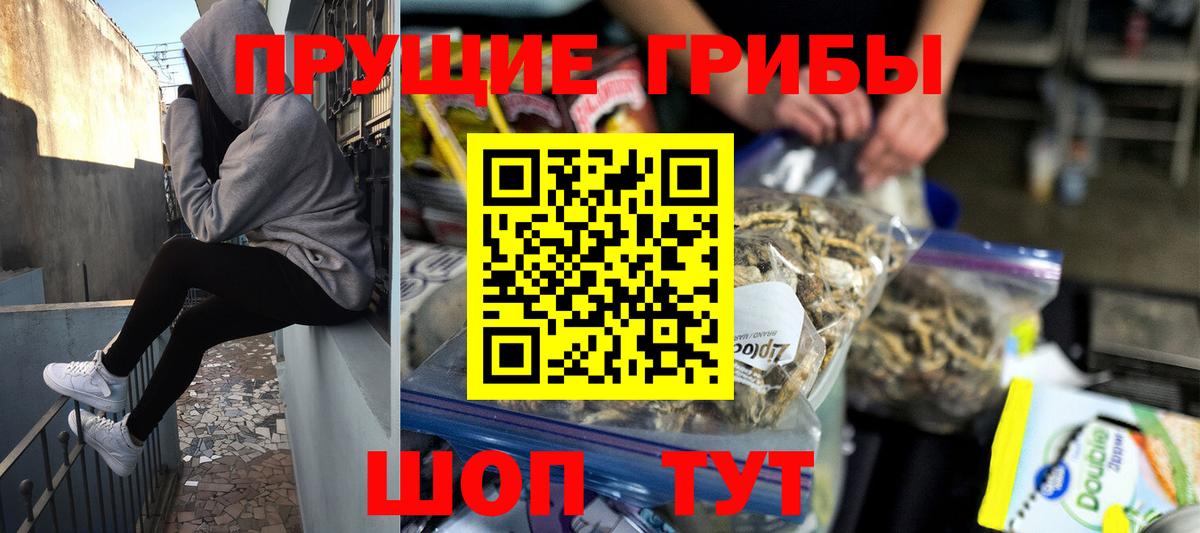 Ставрополь  Галлюциногенные грибы Psilocybe  купить наркотик  Вход с VPN  Галлюциногенные грибы мицелий 